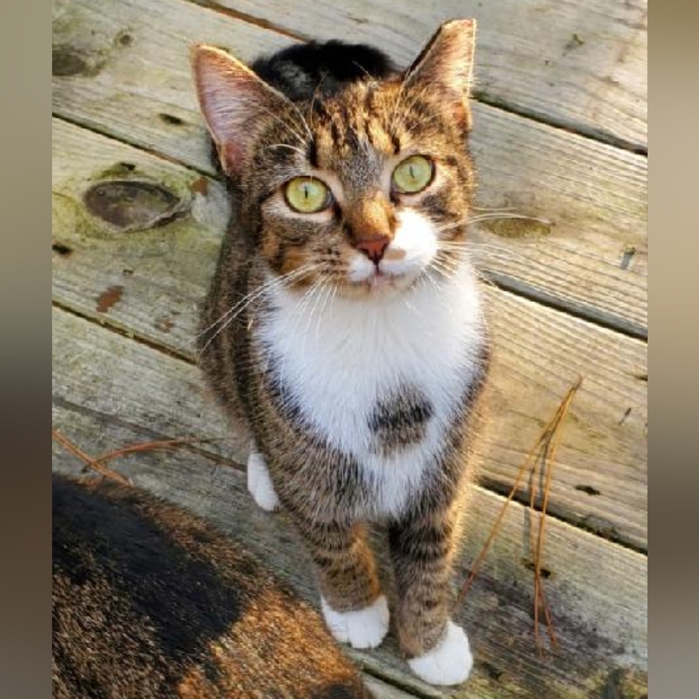 Meet your Posher, Rhonda